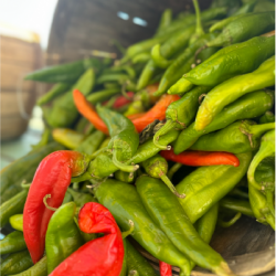 abq-peppers_400x400